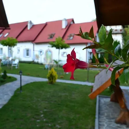 Закарпатский Прованс Aparthotel