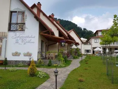 Aparthotel Закарпатский Прованс