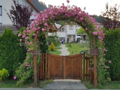Закарпатский Прованс Šajan