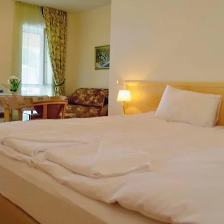 Aparthotel Закарпатский Прованс Šajan