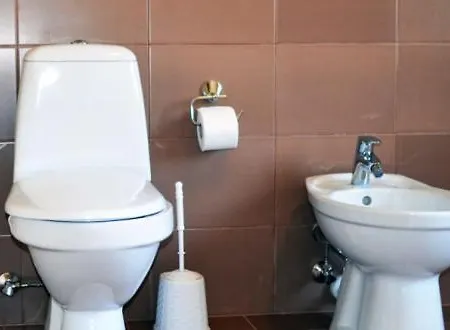 Aparthotel Закарпатский Прованс *