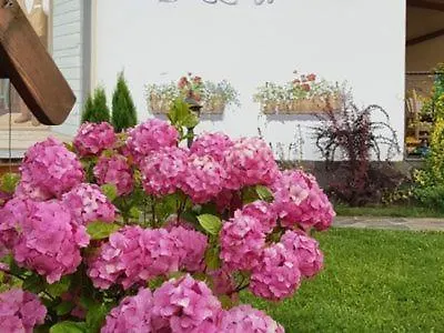 Закарпатский Прованс *